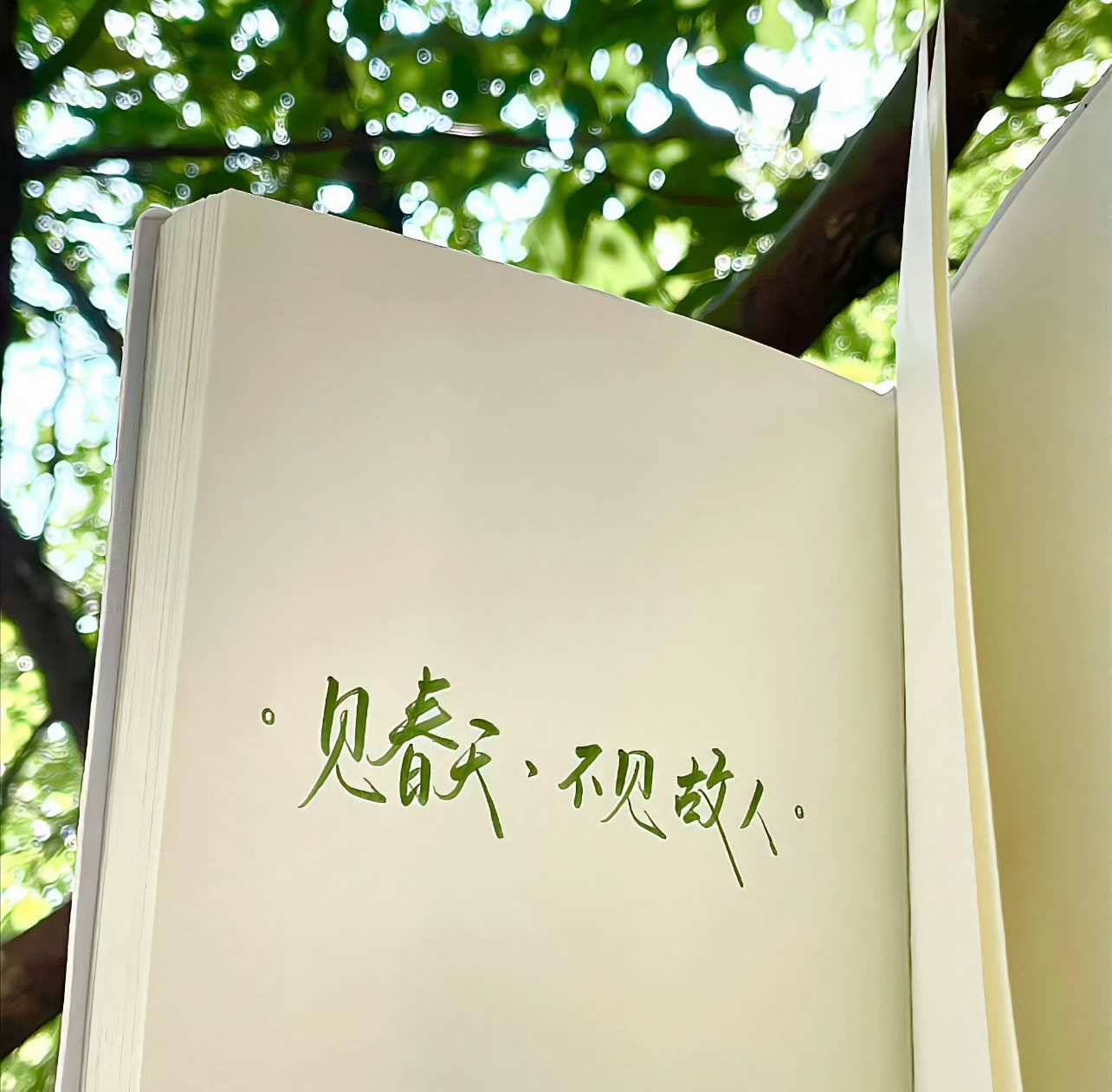 𝙒𝙚𝘾𝙝𝙖𝙩头像套图｜无水印分享  |女生头像 | 朋友圈背景图 |