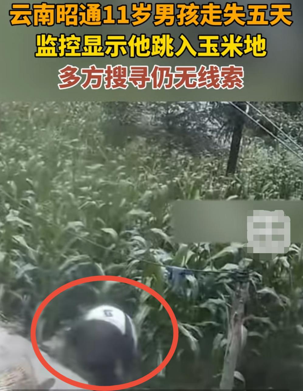 熊孩子太不让人省心了。
7月23日，云南昭通，11岁男孩罗仁豪，因没帮奶奶干农活