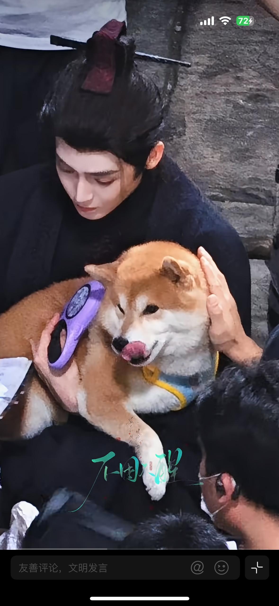家忙在厚厚这里可以做一只快乐的飞天猪 ​​​