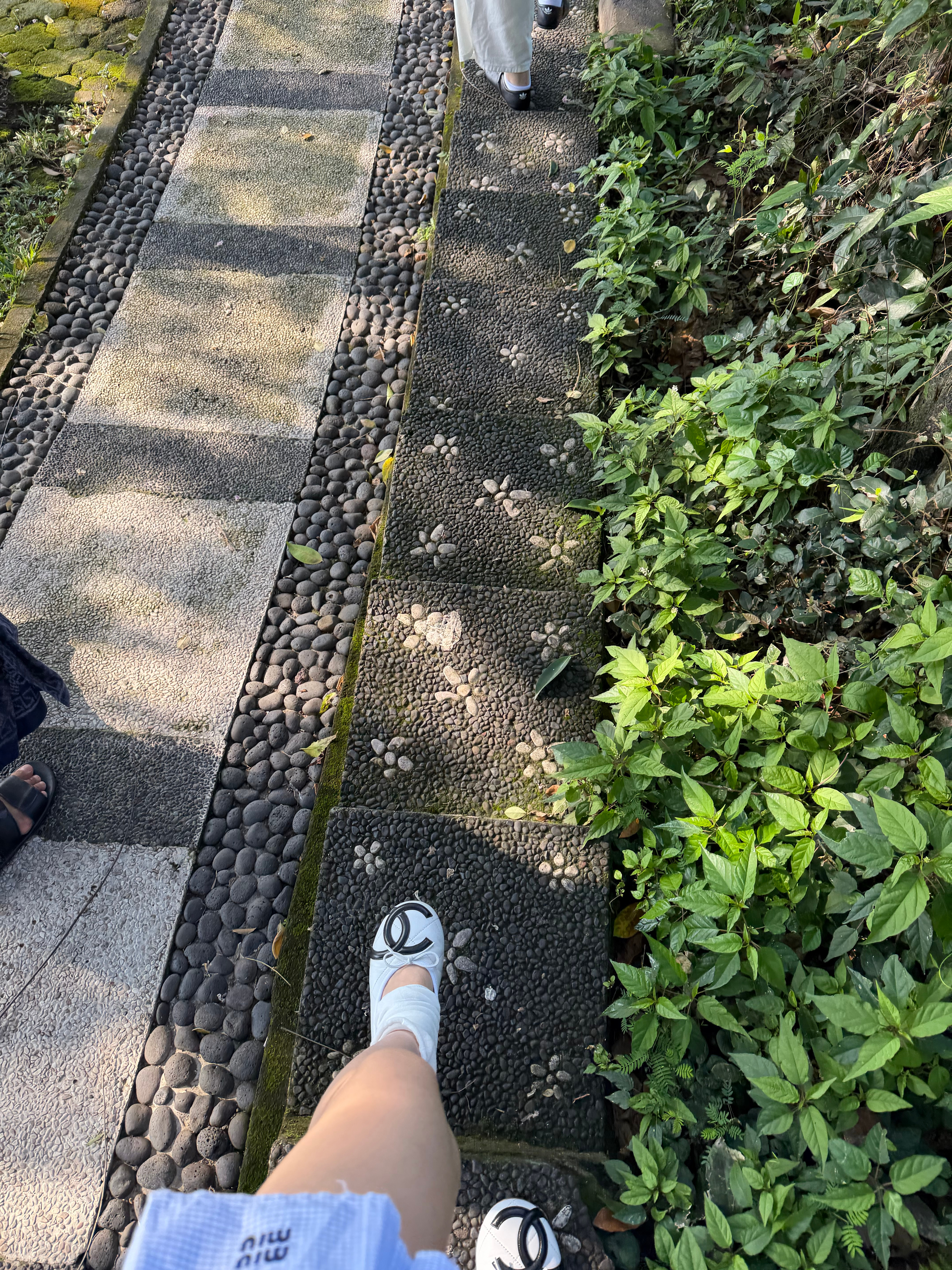 走花路了家人们 
