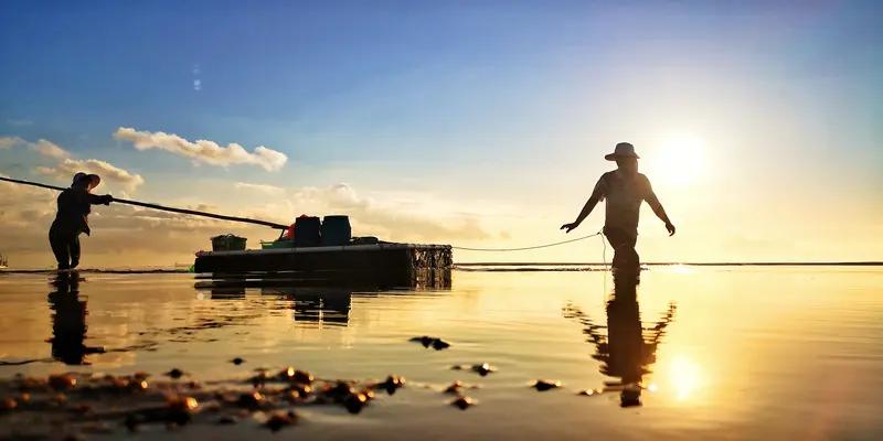 岁月匆匆，如流水般逝去，来不及感慨就已走过春夏，迎来秋的丰盈。它无情又公平，让我