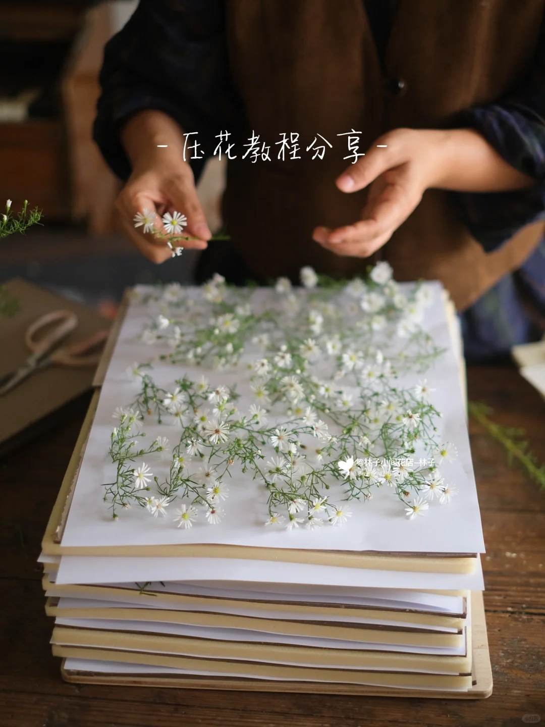 压花示范全过程，手把手教你（保姆级教程）