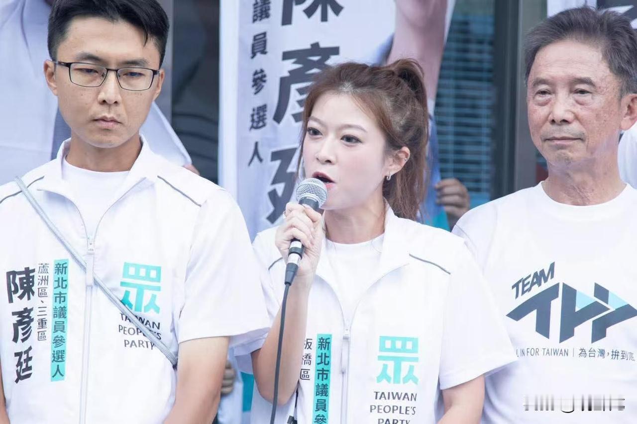 同样是选新北市议员，民众党和国民党的参选人看起来比较靠谱，只有民进党的参选人看起