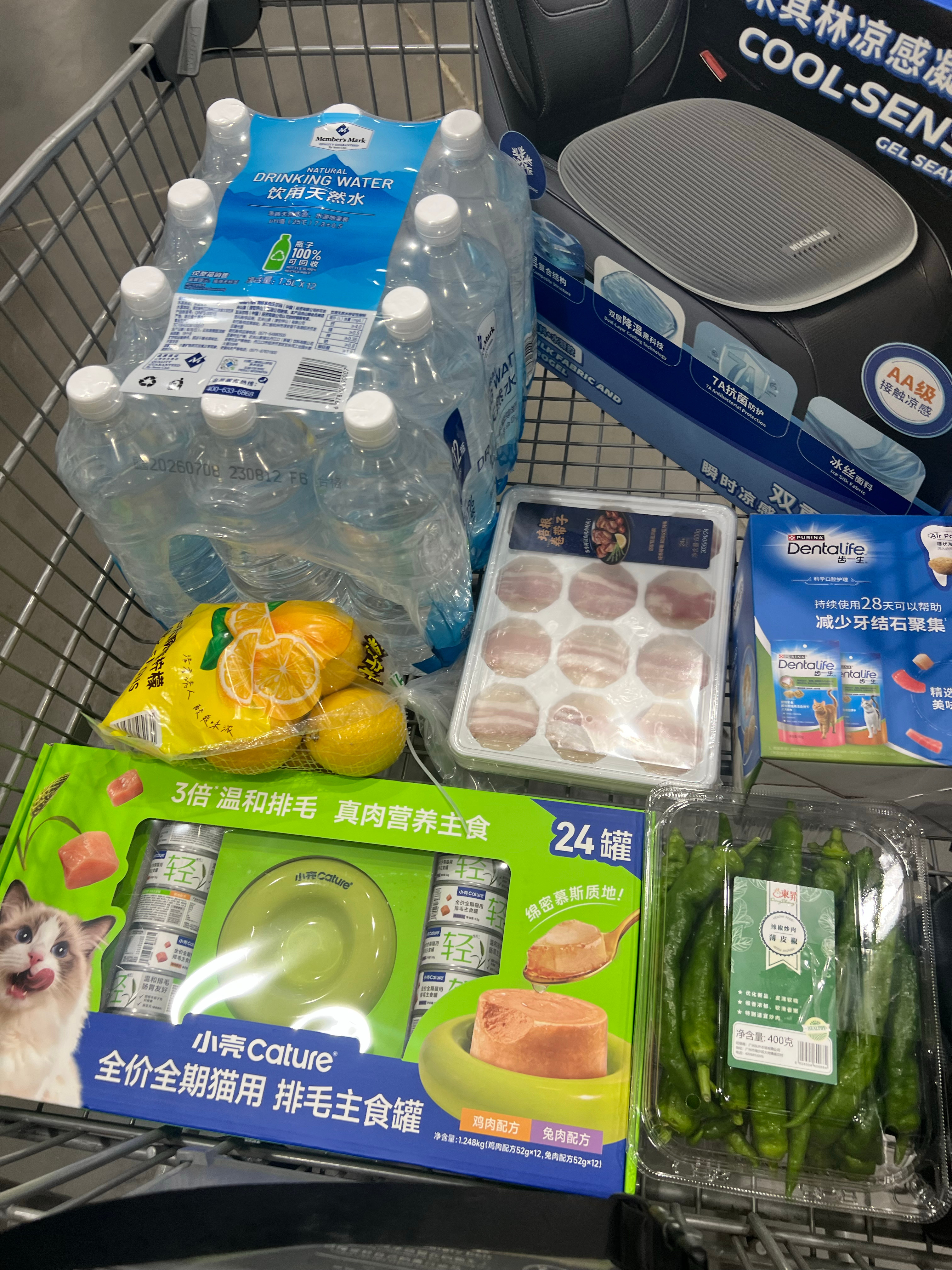 沈阳