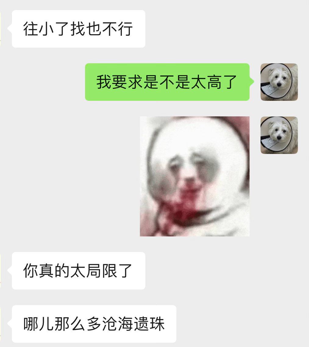 两个人就这样讨论，而且我好难过我需要一个高配版的豪豪叔