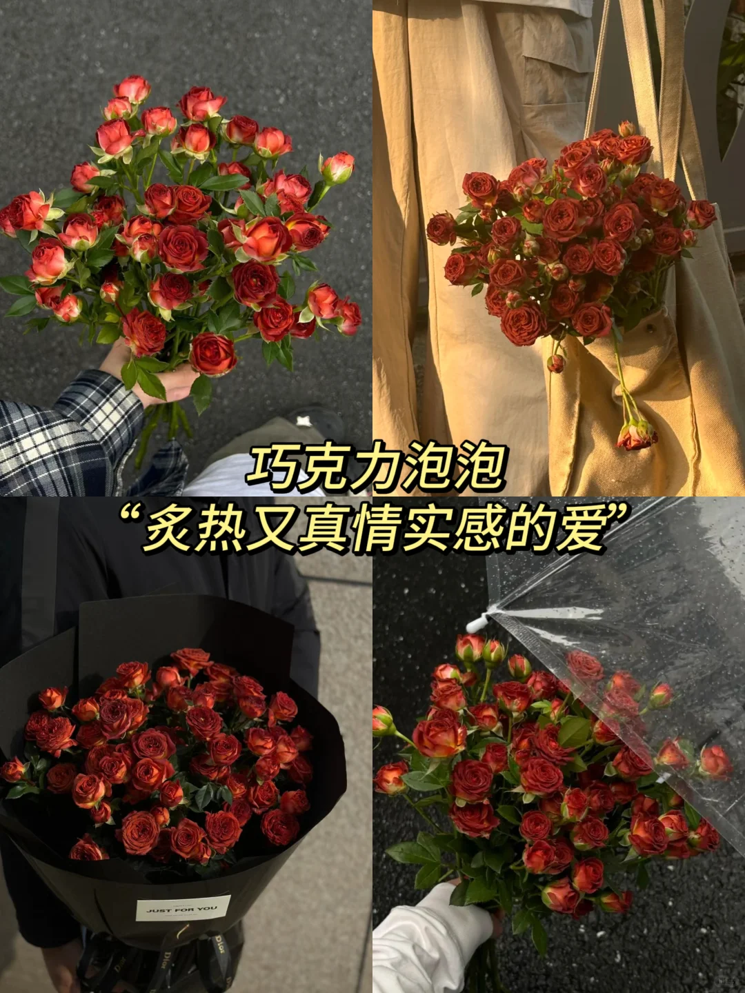 冬日小花束｜ 风里已经有了冬的味道🍁