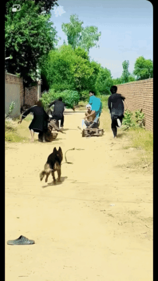 竟然是
伤员跑的最快，
狗都撵不上！