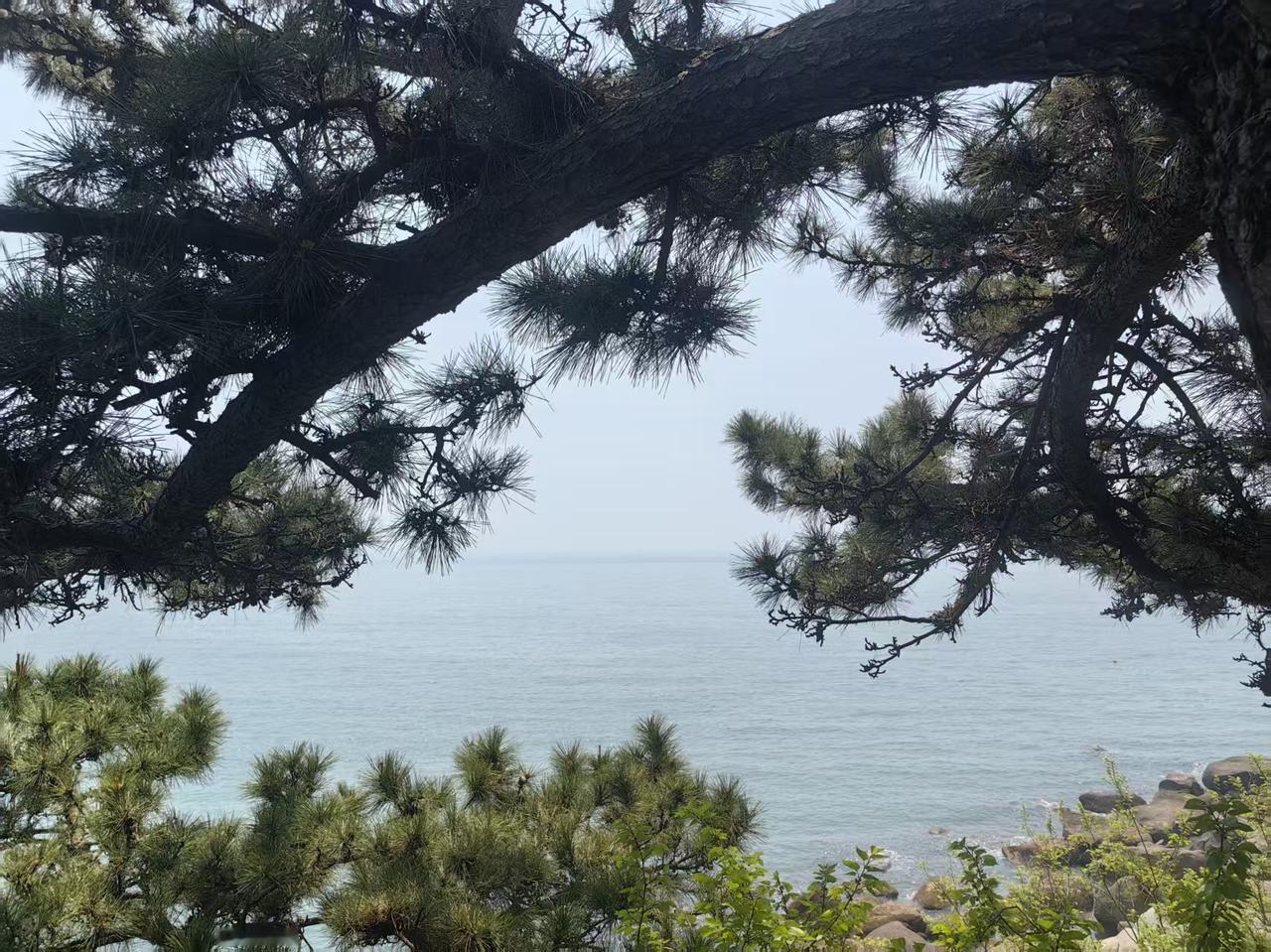 爬山和看海哪个是你的最爱我都不爱！年纪大了，腿脚不方便爬山，体力也跟不上了；看海