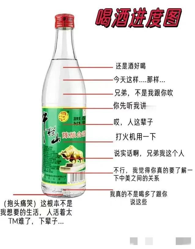 喝酒进度图，你能撑到哪一次[呲牙]