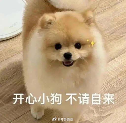 #早安# 可以把时间浪费在自己喜欢的事情上，但不可以困在自己讨厌的生活方式里。 
