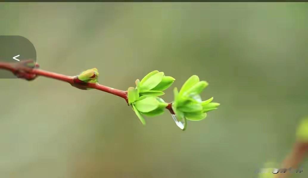 莫言说：“好好活着吧，就这样活着，就算不开心不幸福，简简单单的过就行。

长得普