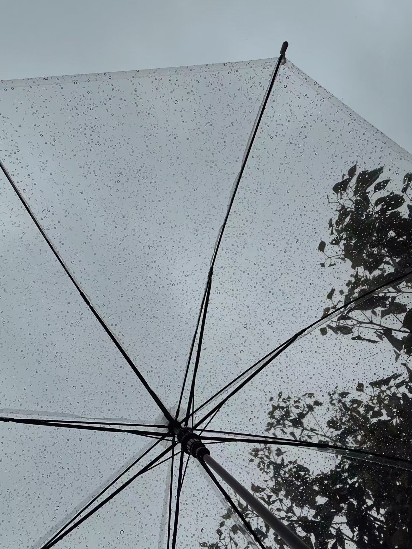 天定良元  说白了、下雨天的坏心情都是他两哄好的。入坑很值得。 