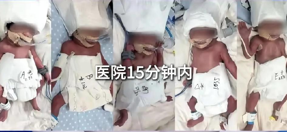 胆子真大啊！医生也是建议减胎的，但迪丽夫妇还是坚持生下1男4女五胞胎。
一般人想