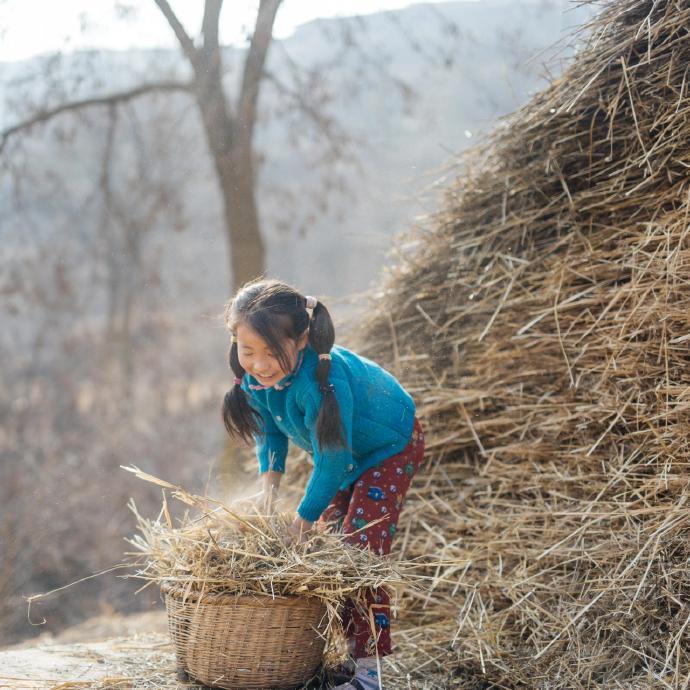 “村里的风景，平淡但耐看” 