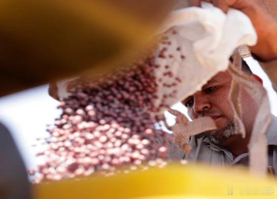 【中美贸易战爆发，巴西农民加大大豆产量】[“买方市场”]（美联社）——几个月前，