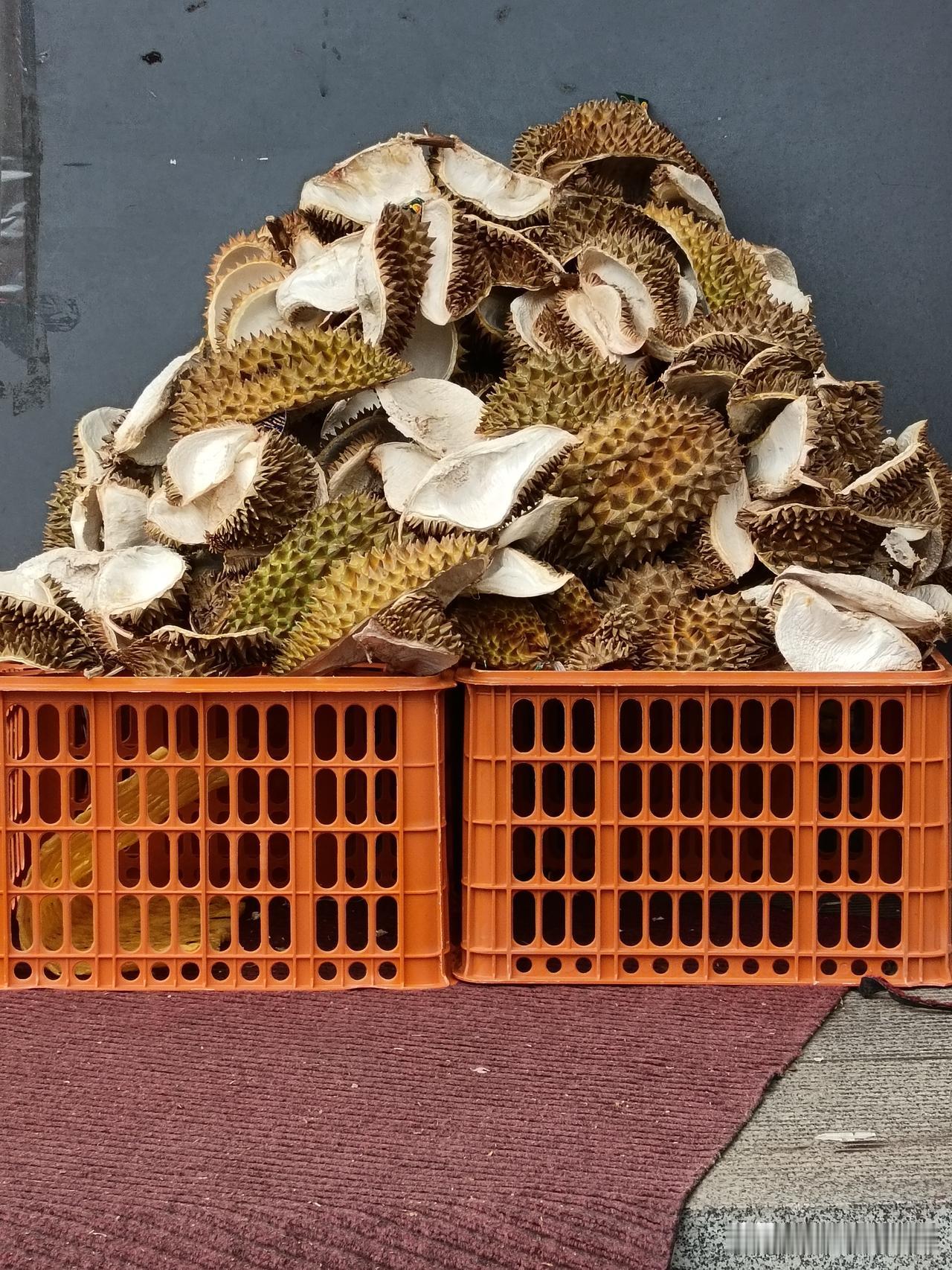 哎！我这人就不招孩子们待见。
昨天孩子们回来玩了一天，老伴精心准备的吃喝，吃完了