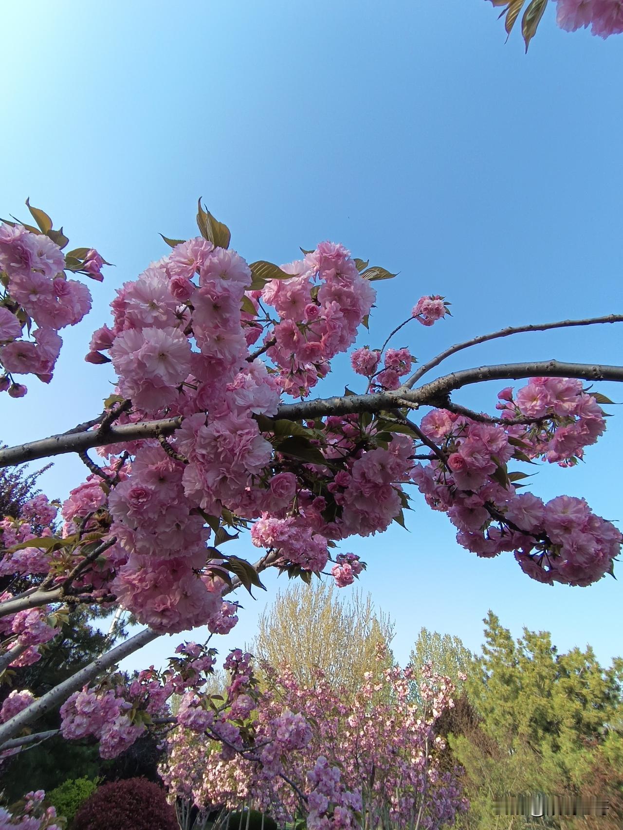 当下不划阶级成分不等于没有，不搞阶级斗争不等于不存在。官方不提（阶级斗争），只是