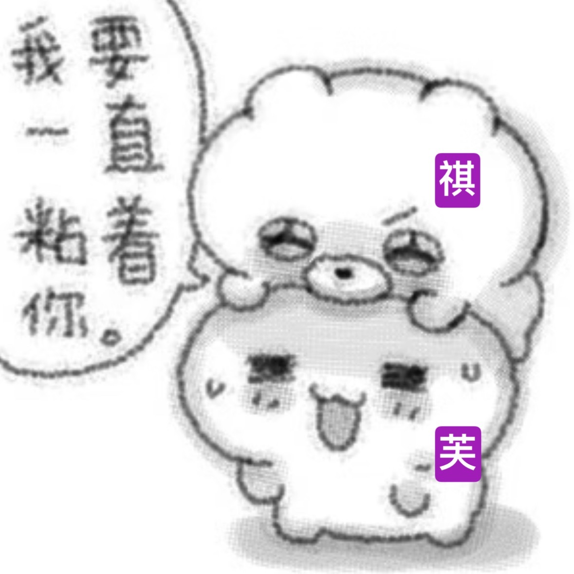 99不解释 