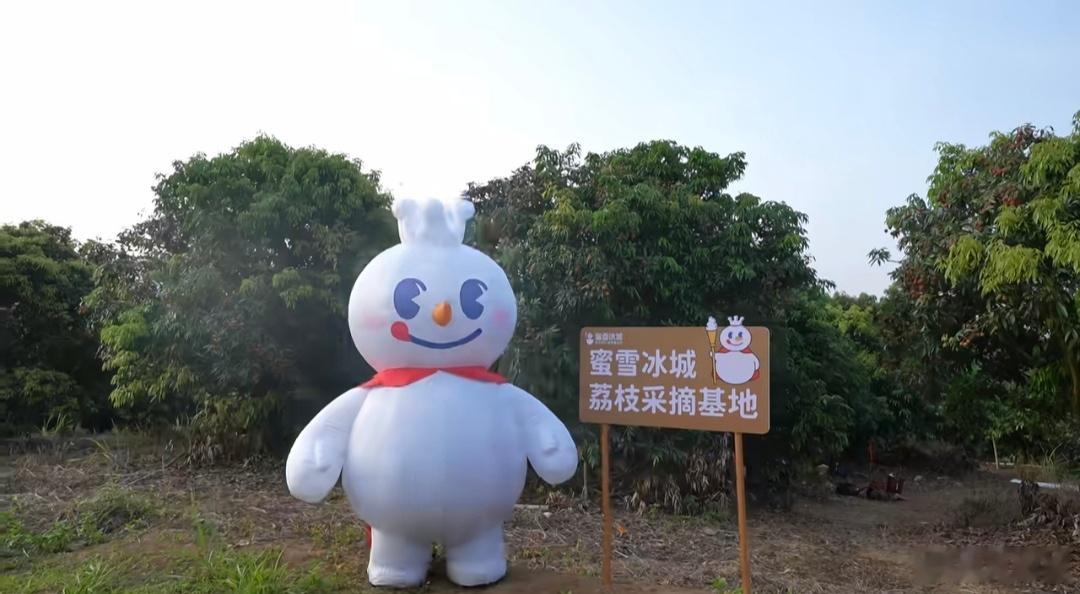 只有深深扎根于一片土地，才能在风雨来临时，感知到那片土地的脉搏。一家有担当的企业