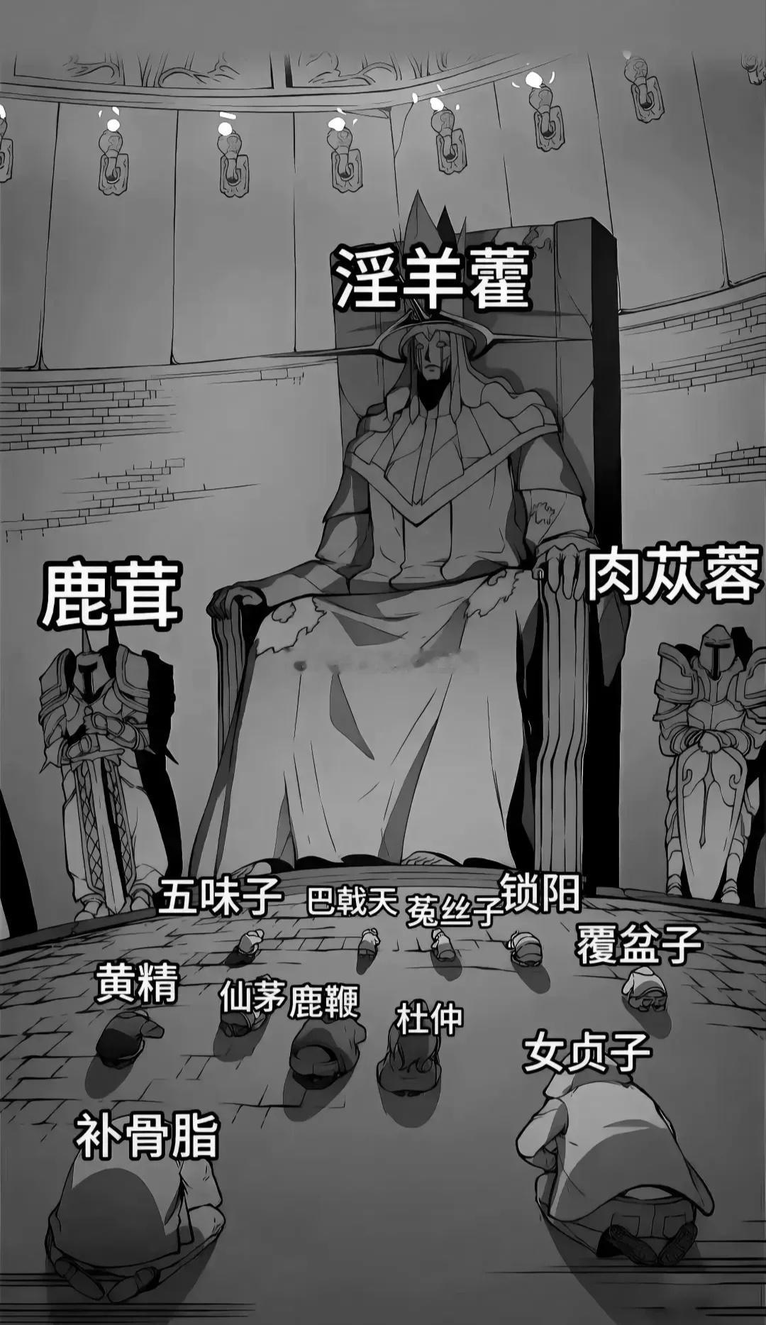 中药界的补肾地位怎分高低？淫羊藿、鹿茸、肉苁蓉、巴戟天、菟丝子、仙茅等在中药界中