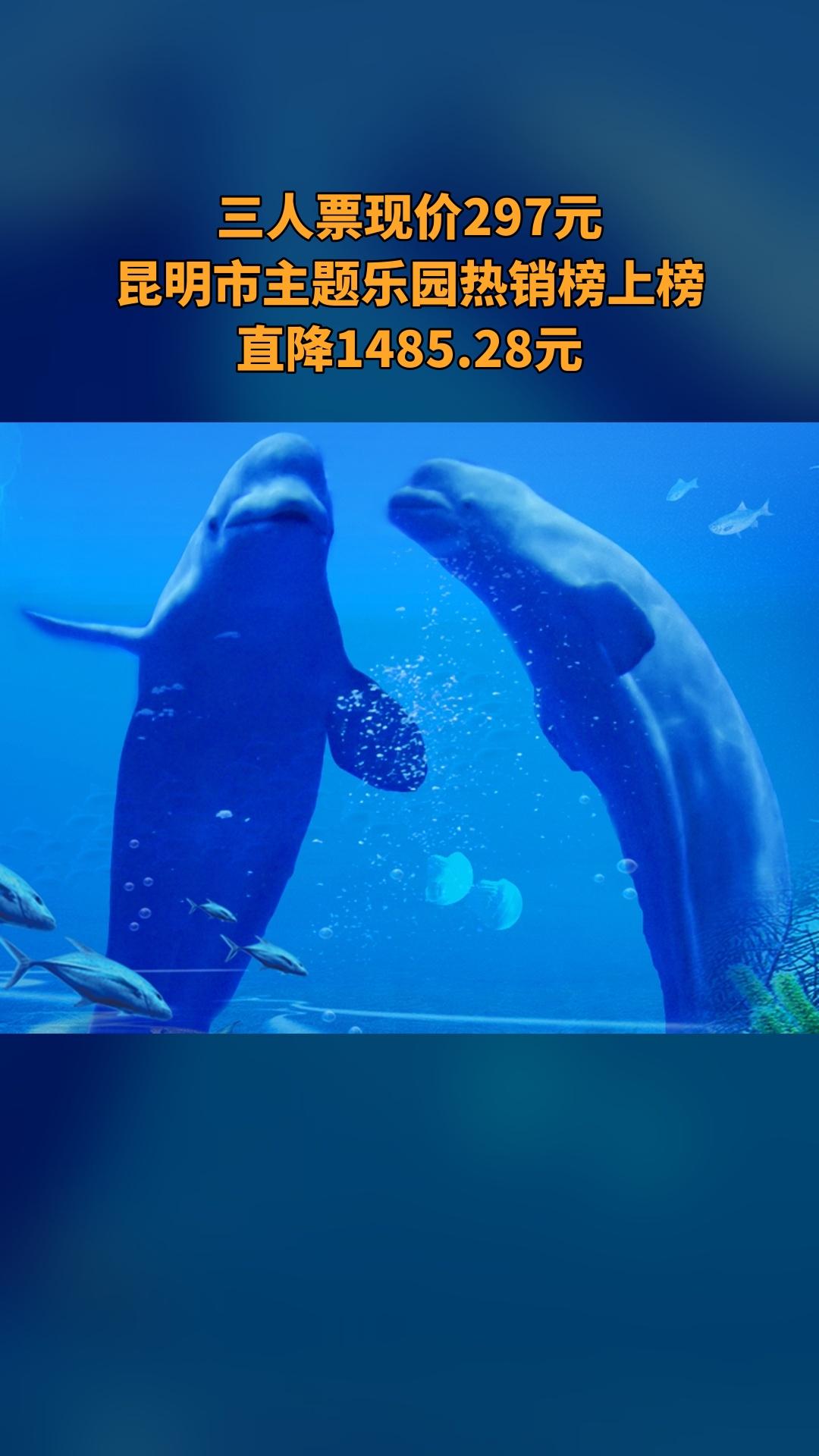 冰雪海洋世界，特卖新品，囤货好时机，4.4分推荐，三人票