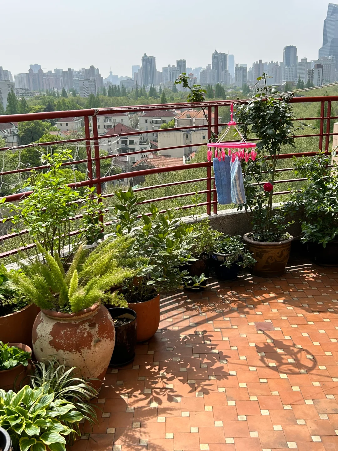 复兴中路 冷翡翠藏书阁