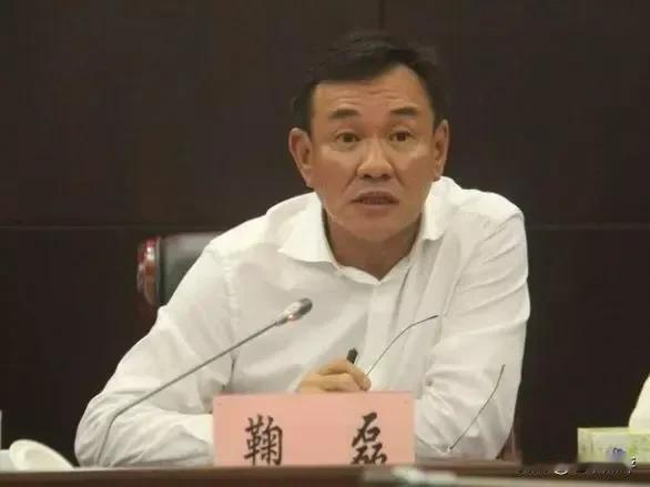 周末打“虎”，海口市原副市长鞠磊被查！

刚刚，权威媒体发布消息，海口市委原常委