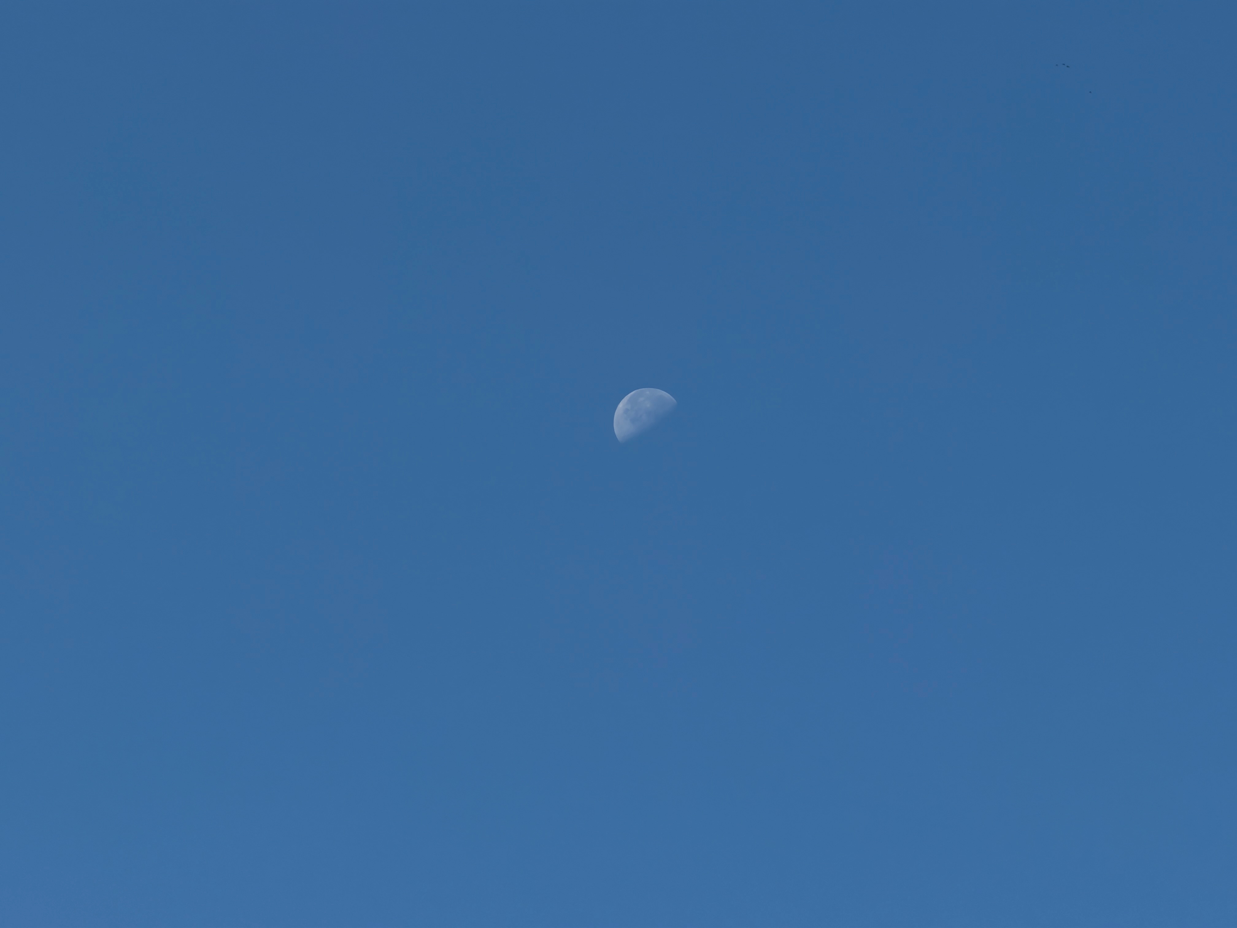 早，日月同辉！ ​​​