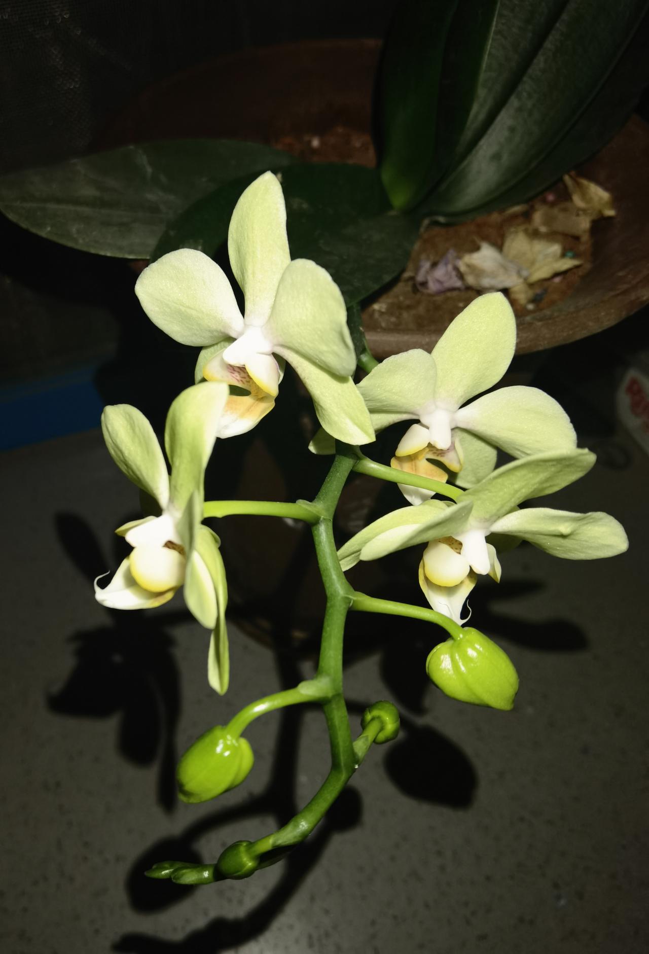 天道会为你开一扇新门！
       “天道”是一个很有意思的词汇，大概最早出自