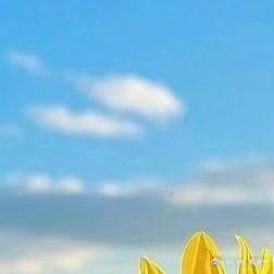 奥运会[超话]  | 早安 阳光，不只是来自太阳，也来自我们的内心。心里有阳光，