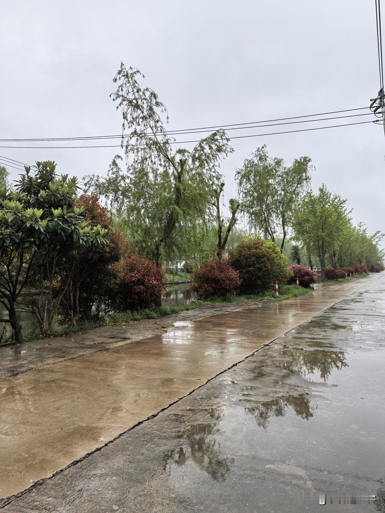 《四月的雨》
[微风][微风][微风]
桃花刚拆开信封
就被雨按上手印
低洼处蓄