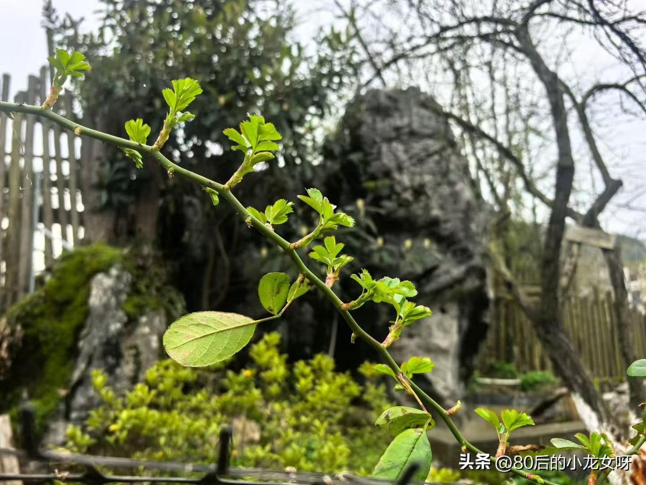 你知道女人最怕的是什么吗？

依我个人的观点，现在我不怕穷，不怕没钱，最怕的是生