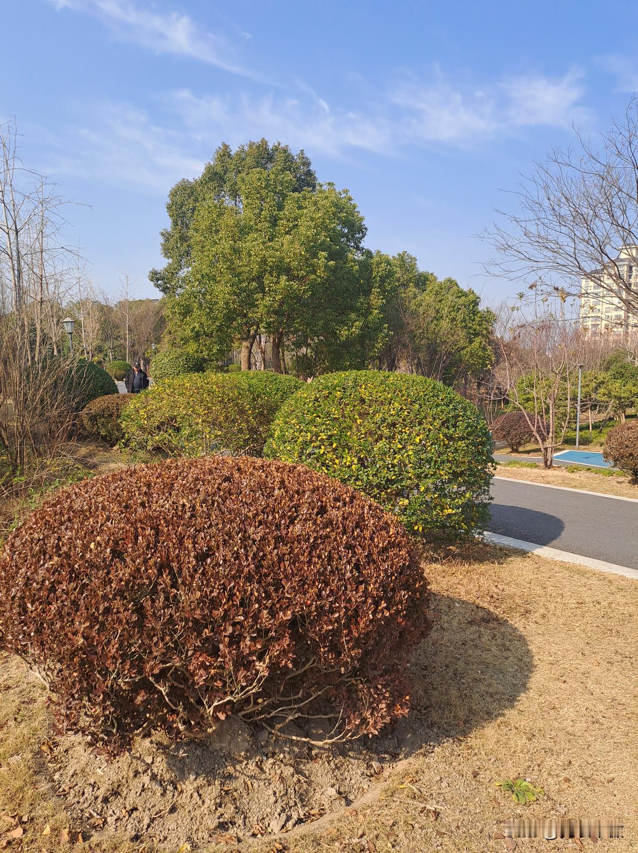 发一张图片，让我猜出你在哪里拍的你猜是在哪里拍的？