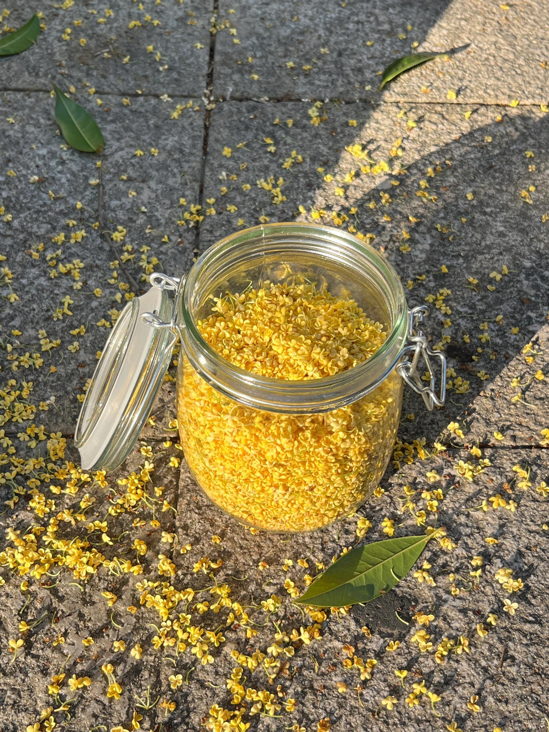 “桂花是秋天的第一场雨” ​​​