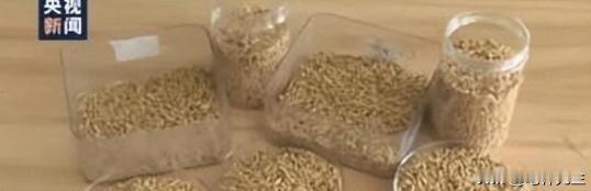 “应该立即死刑！”央视新闻在4月14日曝光了一起惊天大案：我国杂交水稻之父袁隆平