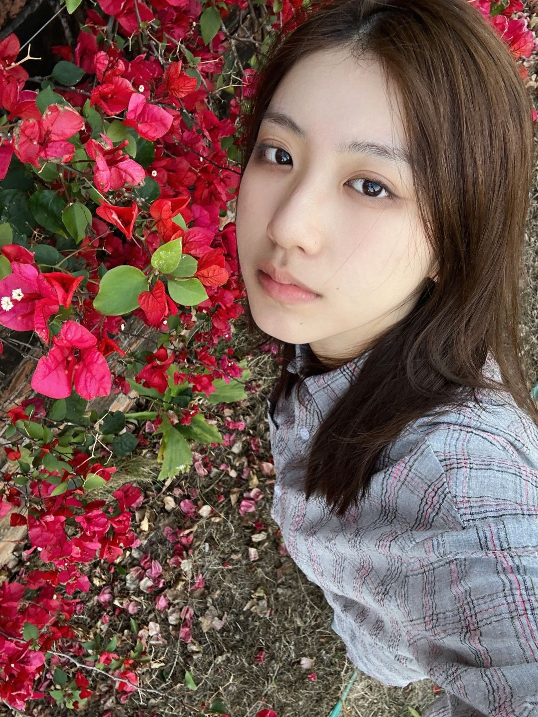 🌺🌺🌺🧧🧧🧧