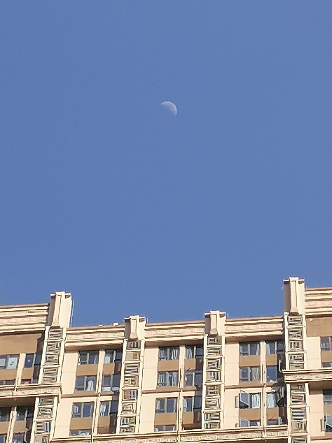 日月同辉景象！
宁静的午后，天空湛蓝如洗，万里无云 ，清晰的上玄月像一枚戳破蓝色