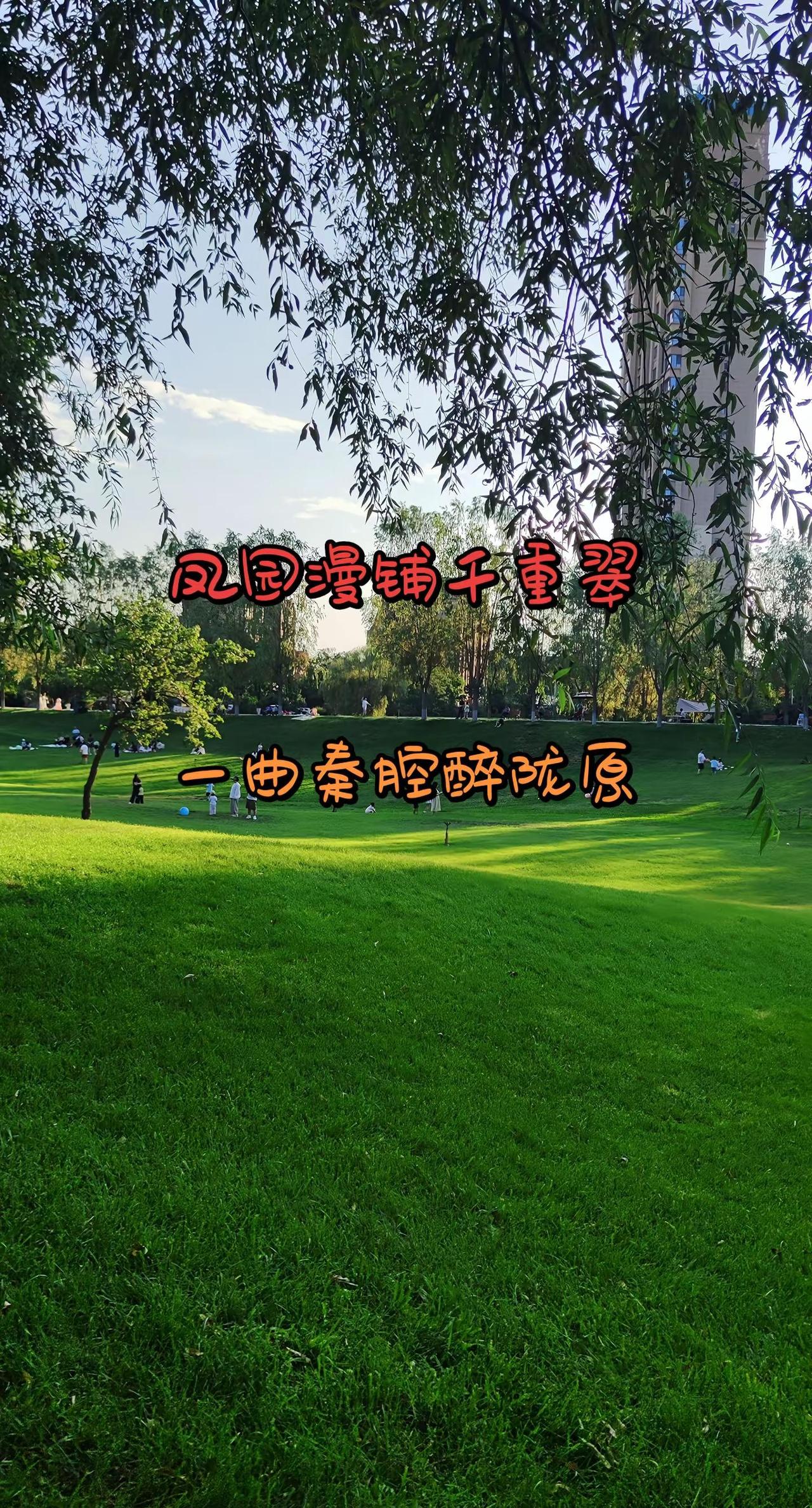 兰州碧桂园百亩凤园，依山铺展大片草坪。清风掠过绿野，游人悠然闲谈，藏着金城难得的