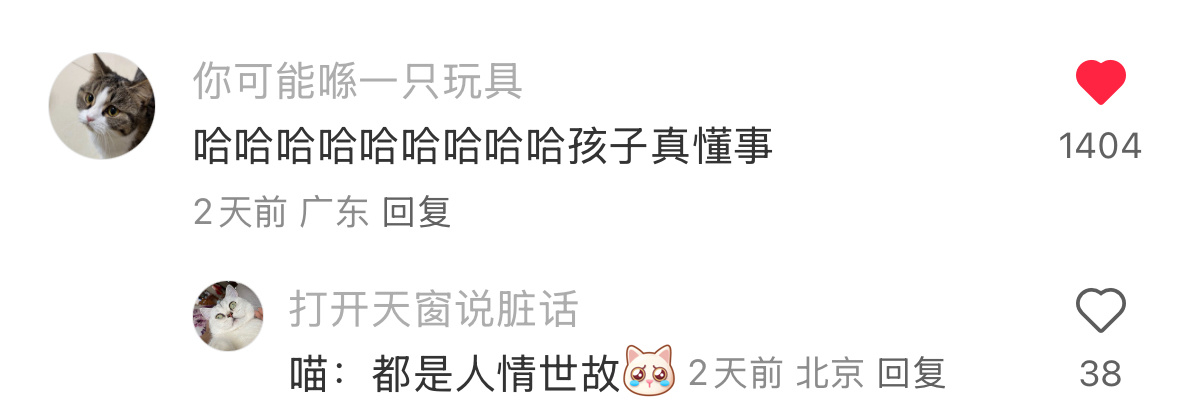 携猫条可令猪咪～ 