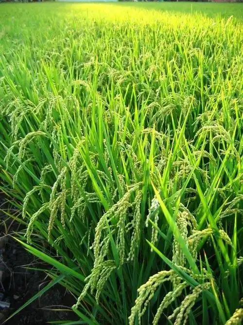 上热下寒，中焦不通，如何打通？——中医气机调和实操指南‌
“上热下寒”本质是‌中