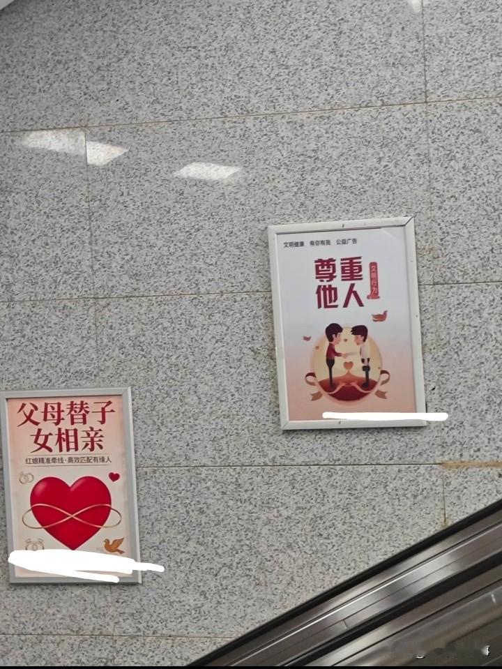 这俩放一起感觉特别幽默