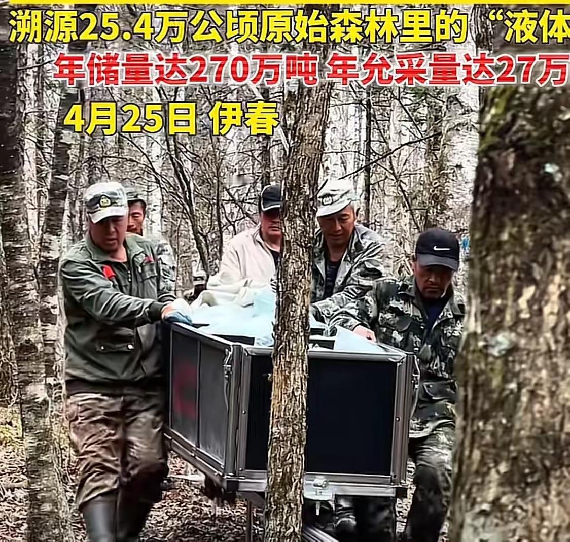这个玩意儿怎么能成产业呢？桦树汁的广告到处可见，我是黑龙江人，从小就桦树林边长大
