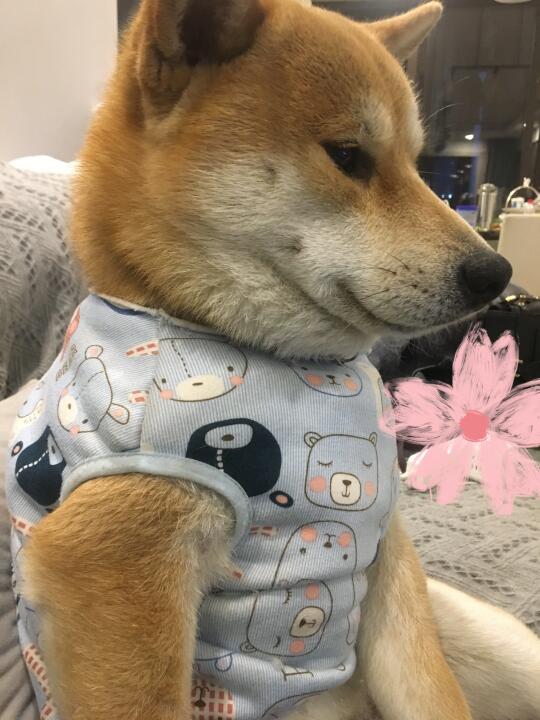 弟弟刚到家时的照片