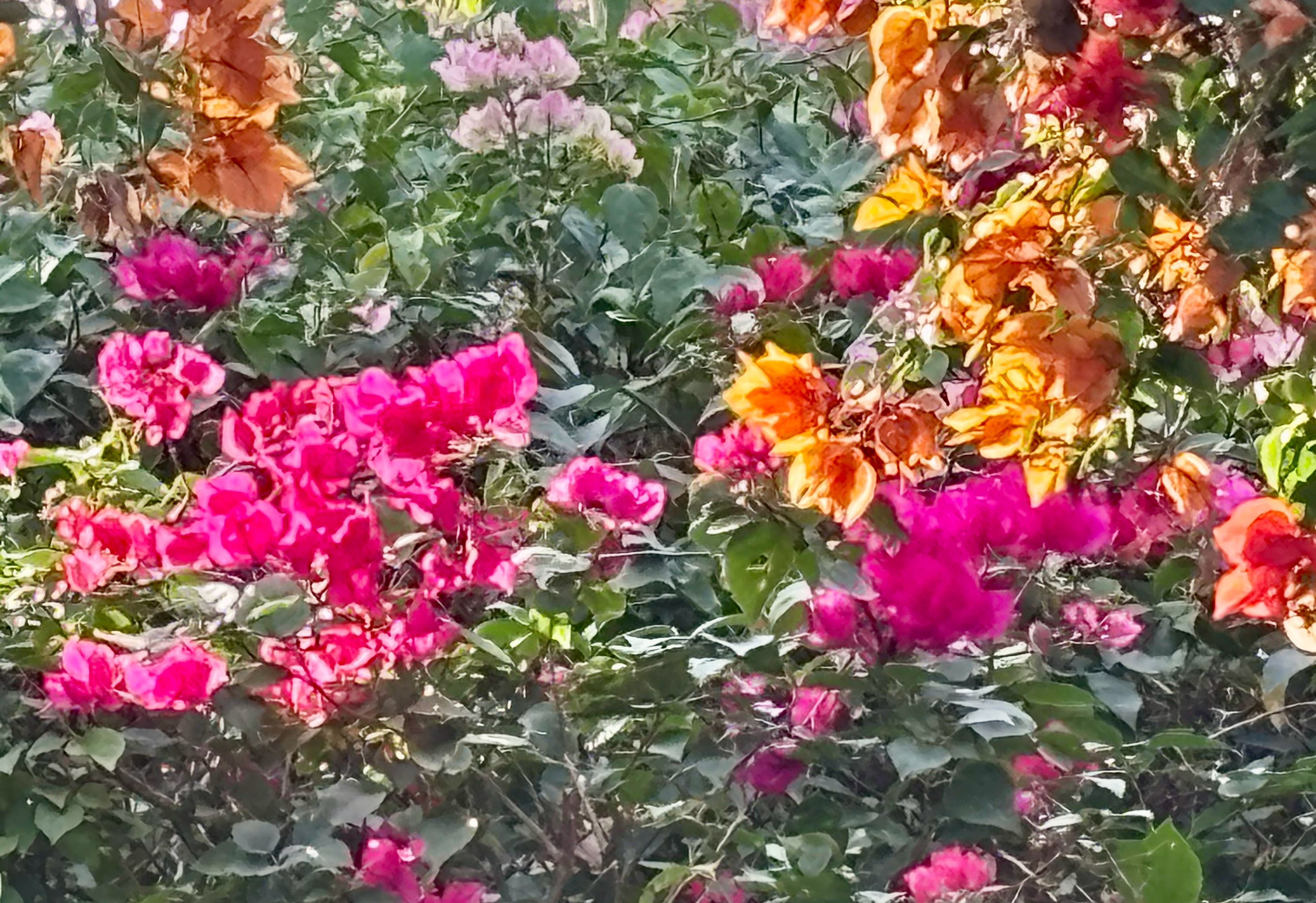 2026，愿突破卦象  温润而行  少折腾  真开放 尚开明 多美好  真将天火