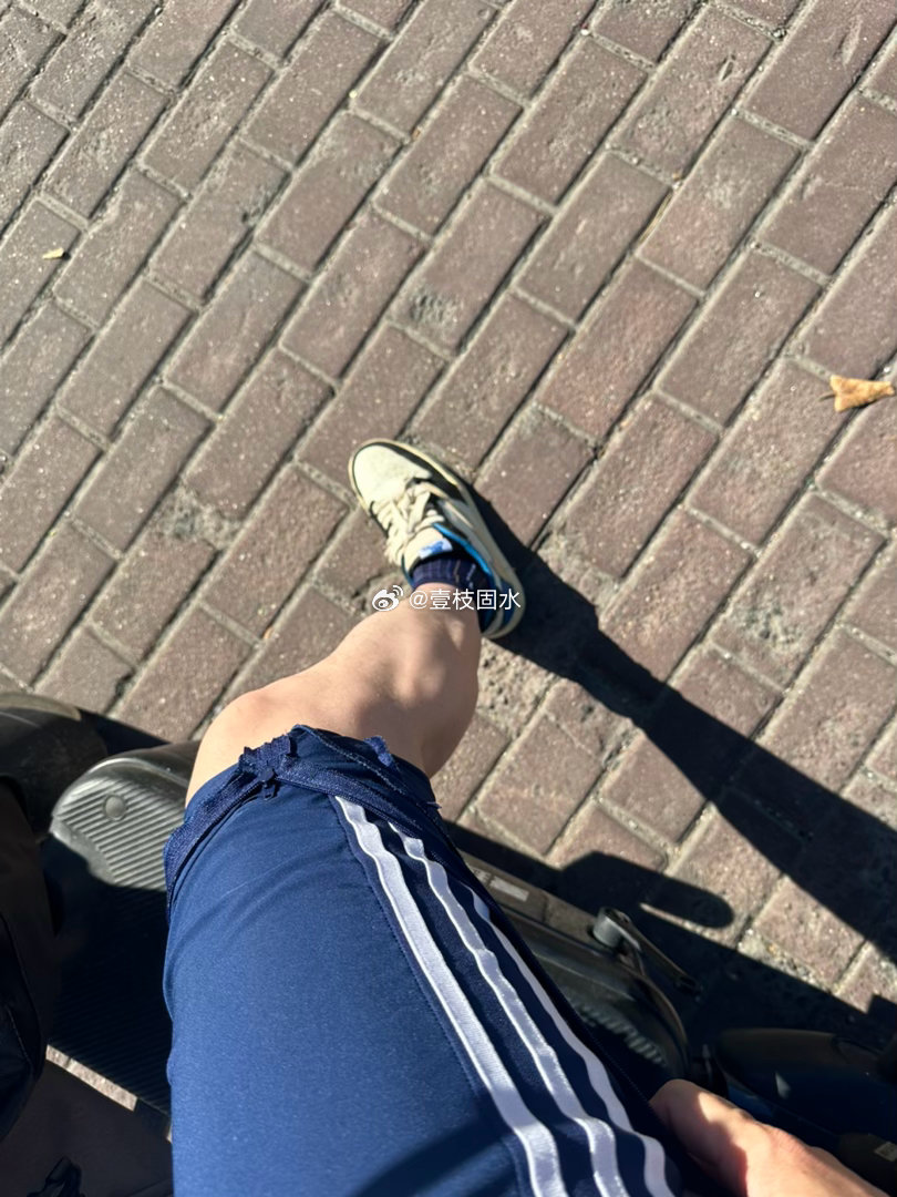 浙江刚出梅就跌入高温闷热噩梦安徽也差不多，今天真的好热，出门大雨穿个冲锋衣，结果