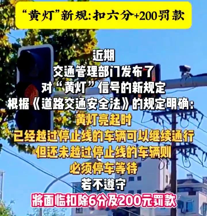黄灯政策又要改了，真的假的？？我怎么感觉我前几天就看到过类似的图片 ​​​