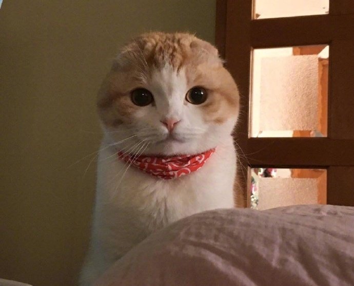 什么~什么~说什么~~~我说了我听不到你说话的声音！