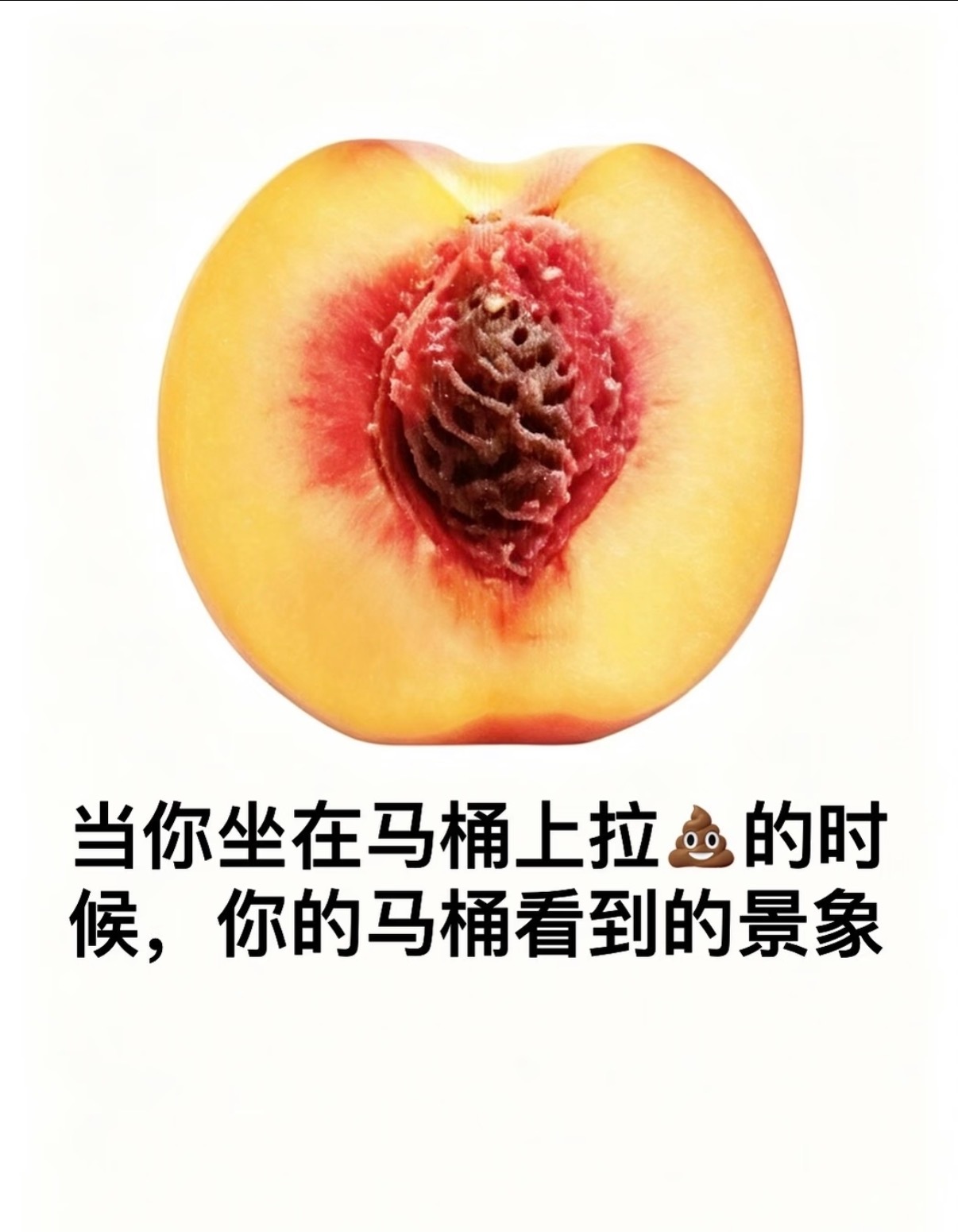 分享图片 