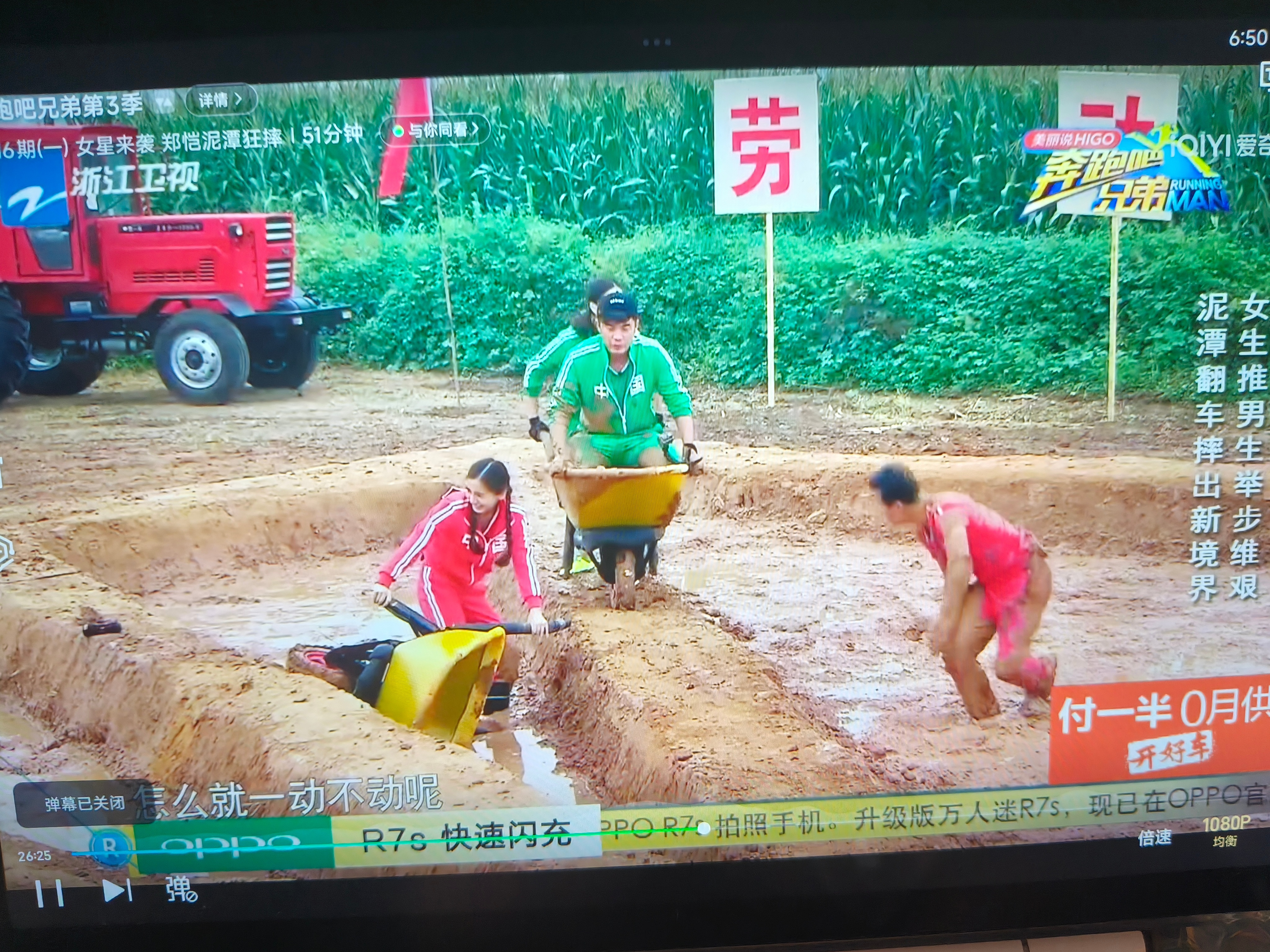 看这期笑成这样已经是痛苦了 