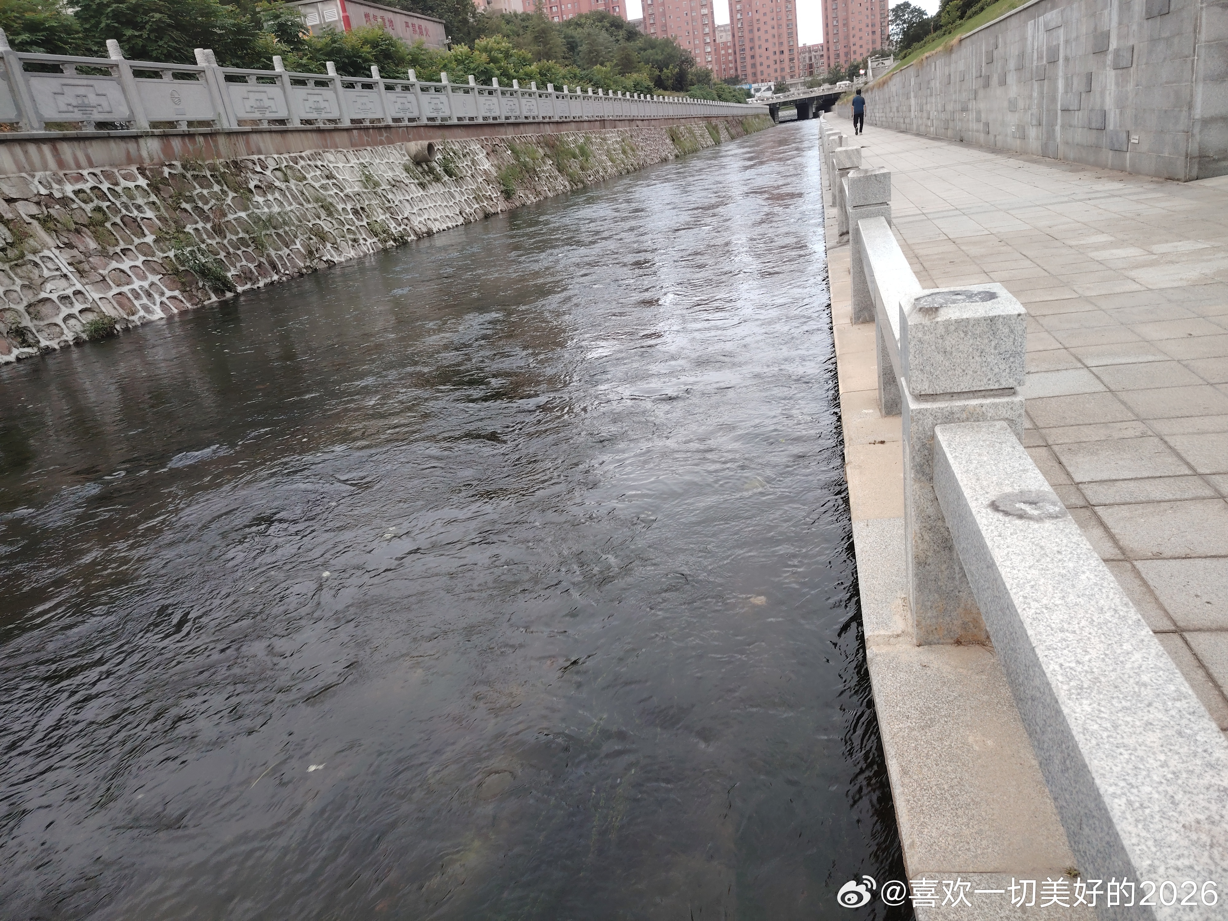 跑湖六公里 